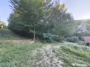 Teren intravilan de in padure Cisnadioara 