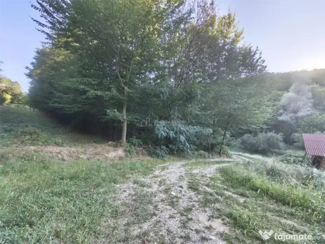 Teren intravilan de in padure Cisnadioara - Cisnadioara (Sibiu)