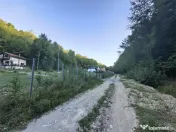 Teren intravilan de in padure Cisnadioara 