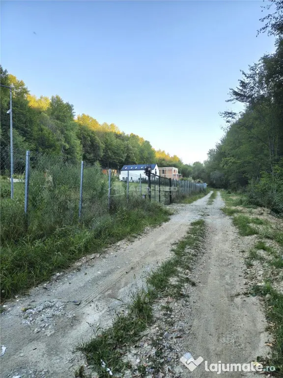 Teren intravilan de in padure Cisnadioara - Cisnadioara (Sibiu)