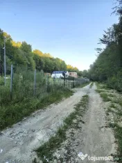 Teren intravilan de in padure Cisnadioara 