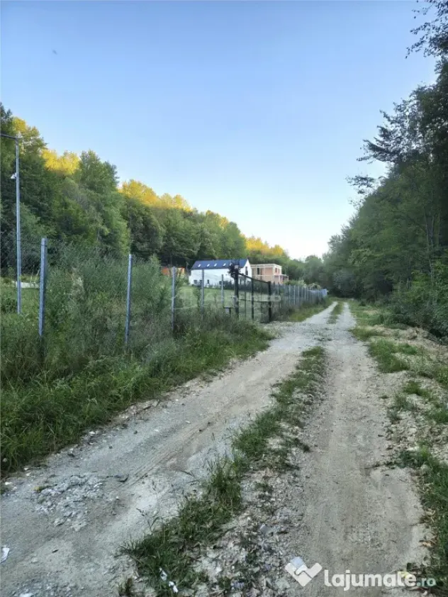 Teren intravilan de in padure Cisnadioara - Cisnadioara (Sibiu)