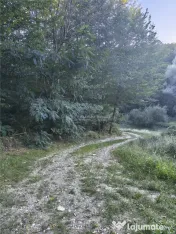 Teren intravilan de in padure Cisnadioara 