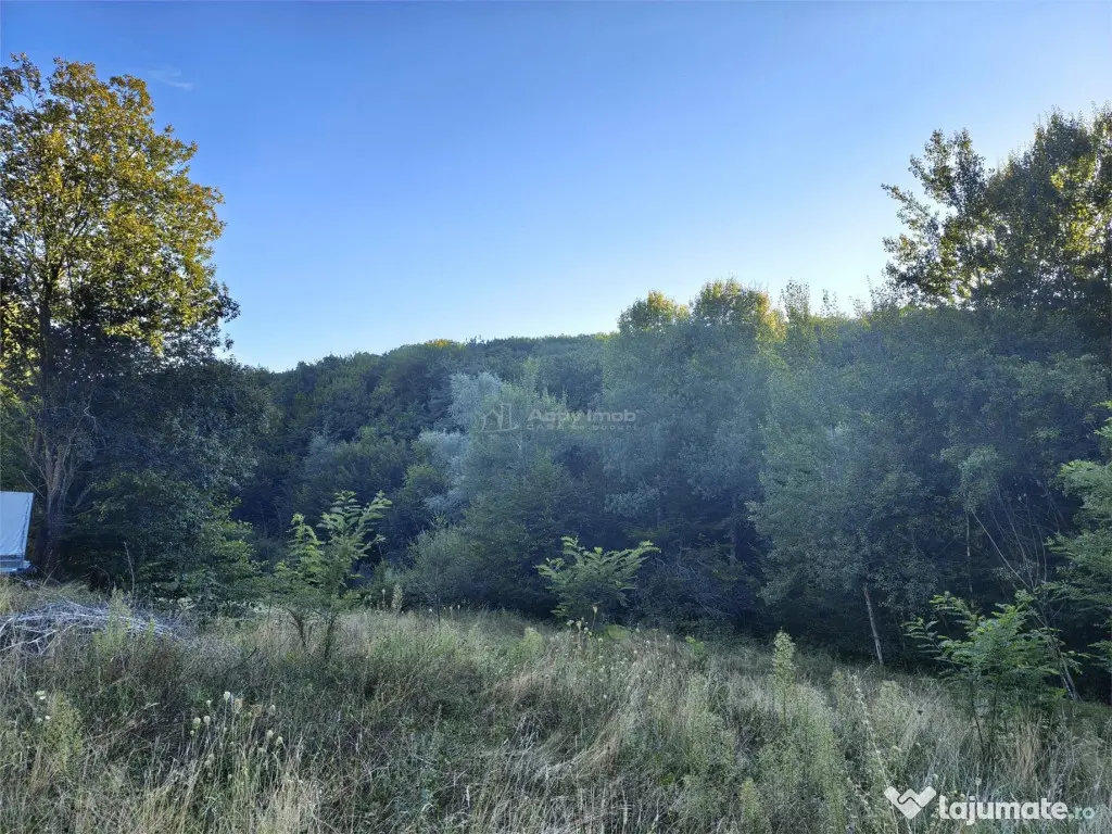 Teren intravilan de in padure Cisnadioara - Cisnadioara (Sibiu)