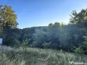 Teren intravilan de in padure Cisnadioara 