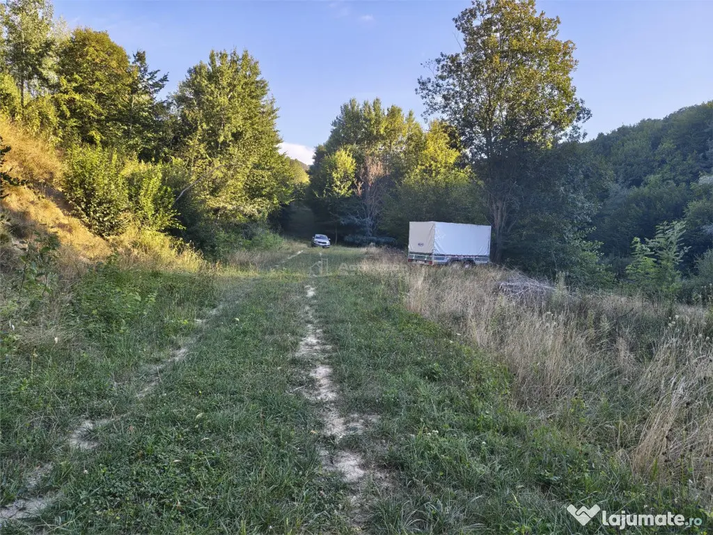 Teren intravilan de in padure Cisnadioara - Cisnadioara (Sibiu)