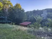 Teren intravilan de in padure Cisnadioara 