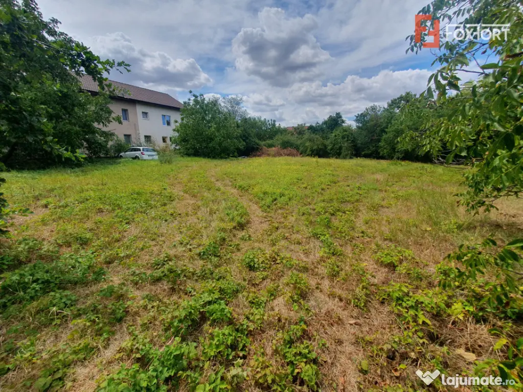 Teren intravilan 1510 mp, front stradal 34 m, zona Brancovea - Timisoara (Timis)