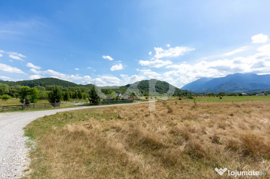 4.260 mp intravilan | 4 loturi | Valea Glăjăriei – Râș - Rasnov (Brasov)