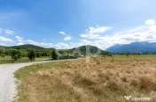 4.260 mp intravilan | 4 loturi | Valea Glăjăriei – Râș 