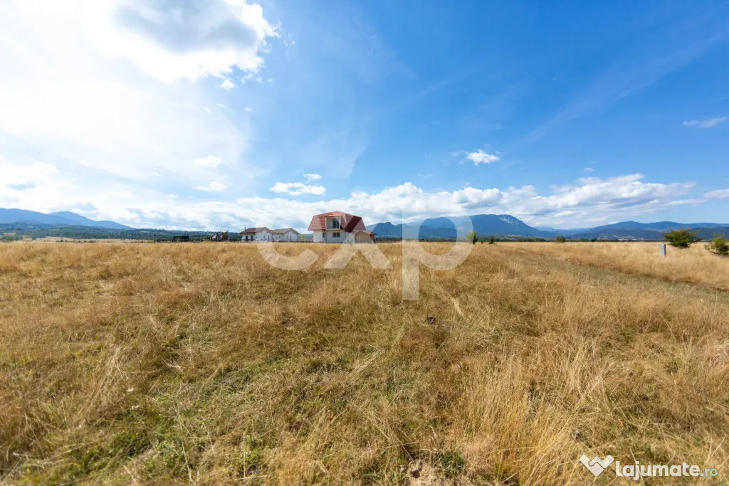 4.260 mp intravilan | 4 loturi | Valea Glăjăriei – Râș - Rasnov (Brasov)
