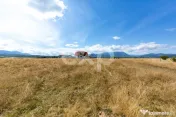 4.260 mp intravilan | 4 loturi | Valea Glăjăriei – Râș 