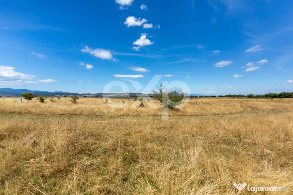 4.260 mp intravilan | 4 loturi | Valea Glăjăriei – Râș - Rasnov (Brasov)