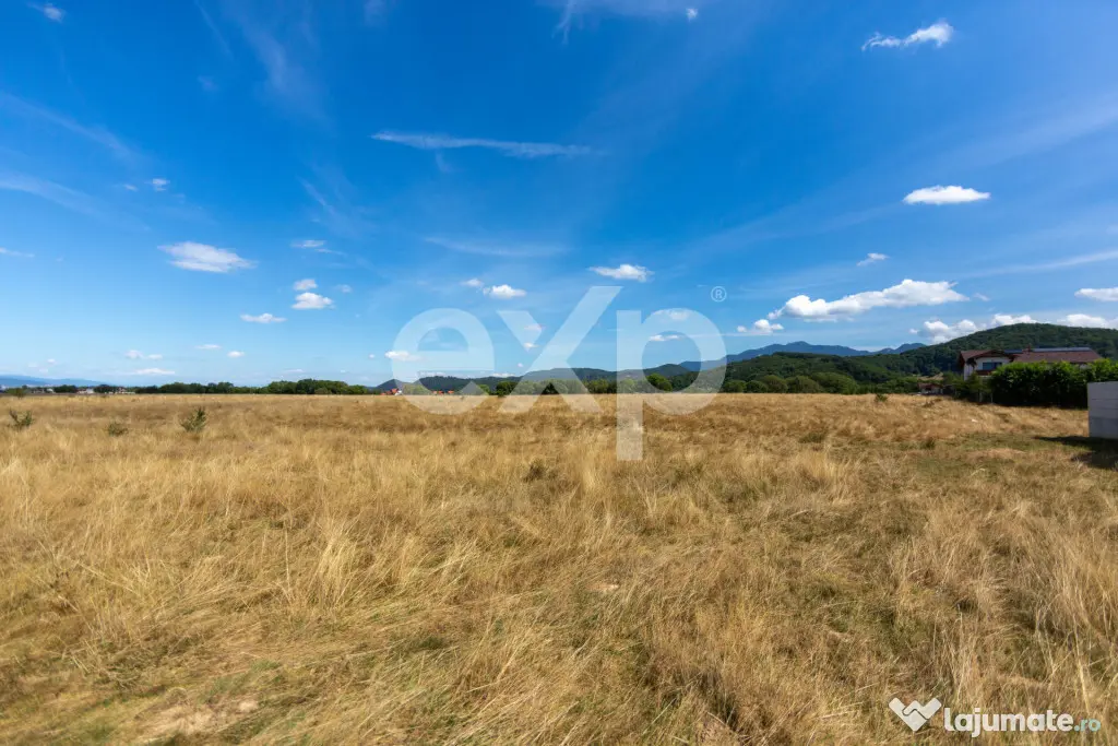 4.260 mp intravilan | 4 loturi | Valea Glăjăriei – Râș - Rasnov (Brasov)