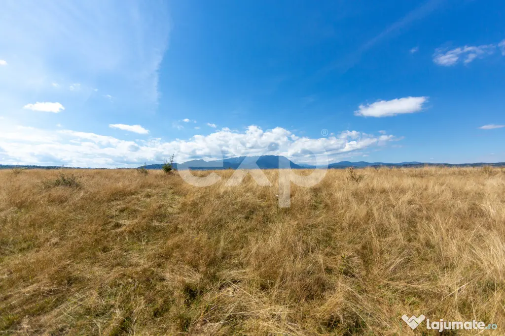 4.260 mp intravilan | 4 loturi | Valea Glăjăriei – Râș - Rasnov (Brasov)