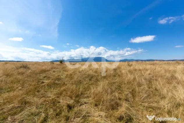 4.260 mp intravilan | 4 loturi | Valea Glăjăriei – Râș - Rasnov (Brasov)