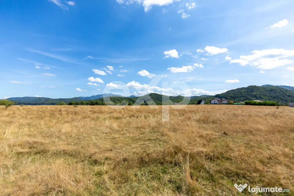 4.260 mp intravilan | 4 loturi | Valea Glăjăriei – Râș - Rasnov (Brasov)