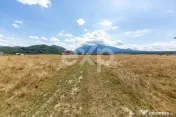 4.260 mp intravilan | 4 loturi | Valea Glăjăriei – Râș 