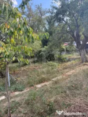 CASĂ DE VÂNZARE ÎN CODLEA–VEDERE PANORAMICĂ, 2 UNITĂ? 