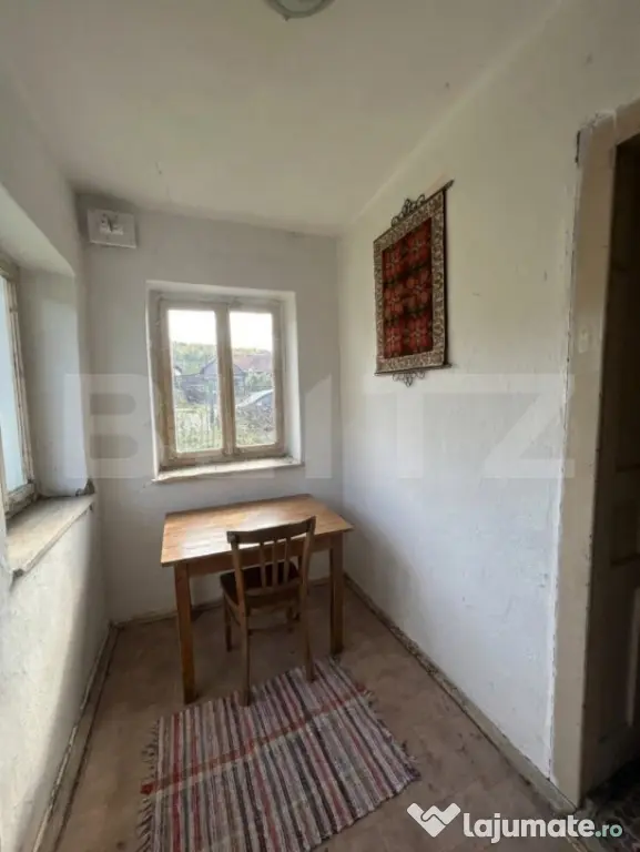 Casă individuală de vânzare 100 mp + teren 1887 mp ? - Bont (Cluj)