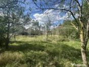 Casă individuală de vânzare 100 mp + teren 1887 mp ?