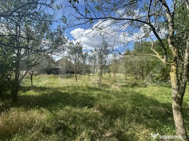 Casă individuală de vânzare 100 mp + teren 1887 mp ? - Bont (Cluj)