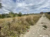 Teren intravilan de 20 ari cu drum de servitute de 7 m și u 