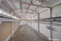 HALE INDUSTRIALE / DEPOZITARE – PLOIEȘTI, ZONA INDUSTRIALA XENIA