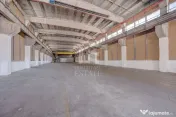 HALE INDUSTRIALE / DEPOZITARE – PLOIEȘTI, ZONA INDUSTRIALA XENIA 