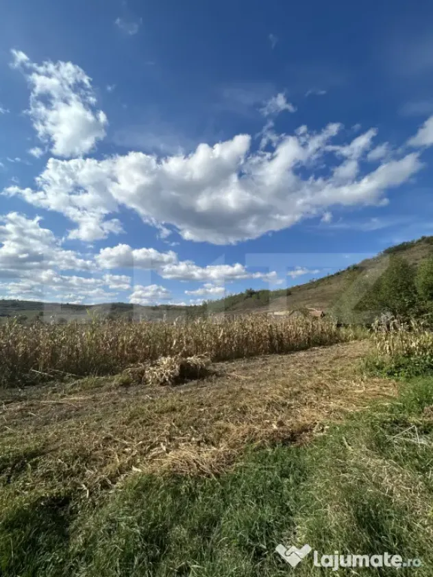 TEREN DE VÂNZARE 9660 MP ÎN BONT, JUDEȚUL CLUJ - Bont (Cluj)