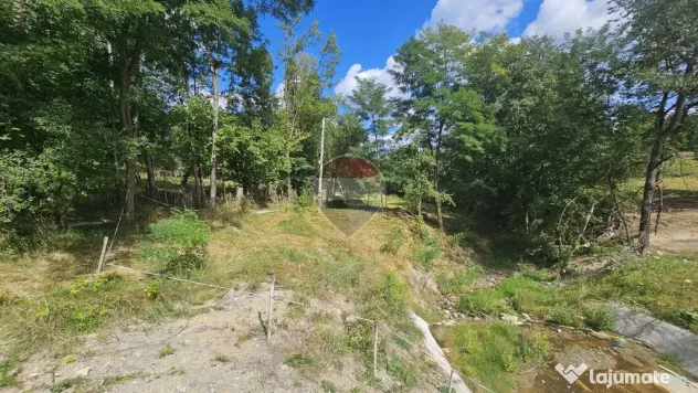 Casă individuală | 4 camere | Teren 4840 mp | Sohodol | Bran - Sohodol (Brasov)