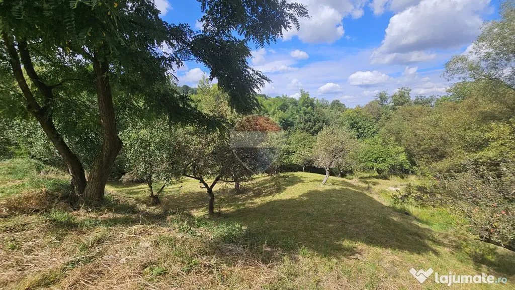 Casă individuală | 4 camere | Teren 4840 mp | Sohodol | Bran - Sohodol (Brasov)