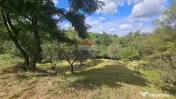 Casă individuală | 4 camere | Teren 4840 mp | Sohodol | Bran