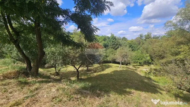 Casă individuală | 4 camere | Teren 4840 mp | Sohodol | Bran - Sohodol (Brasov)