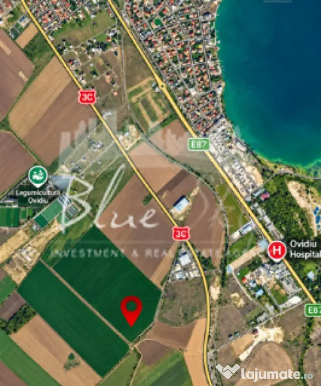 Teren 22.500 mp în apropierea Academiei Gheorghe Hagi - Ovidiu (Constanta)