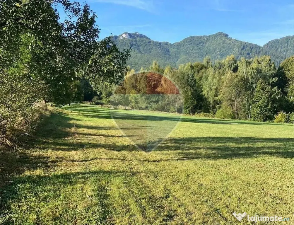 Teren 1,500mp Zarnesti zona Tohanita, priveliste deosebita, intre case - Zarnesti (Brasov)