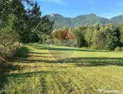 Teren 1,500mp Zarnesti zona Tohanita, priveliste deosebita, intre case 