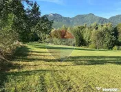 Teren 1,500mp Zarnesti zona Tohanita, priveliste deosebita, intre case 