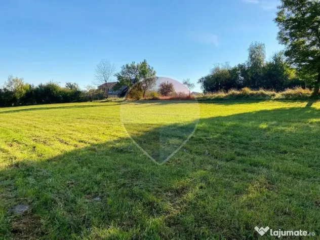 Teren 1,500mp Zarnesti zona Tohanita, priveliste deosebita, intre case - Zarnesti (Brasov)
