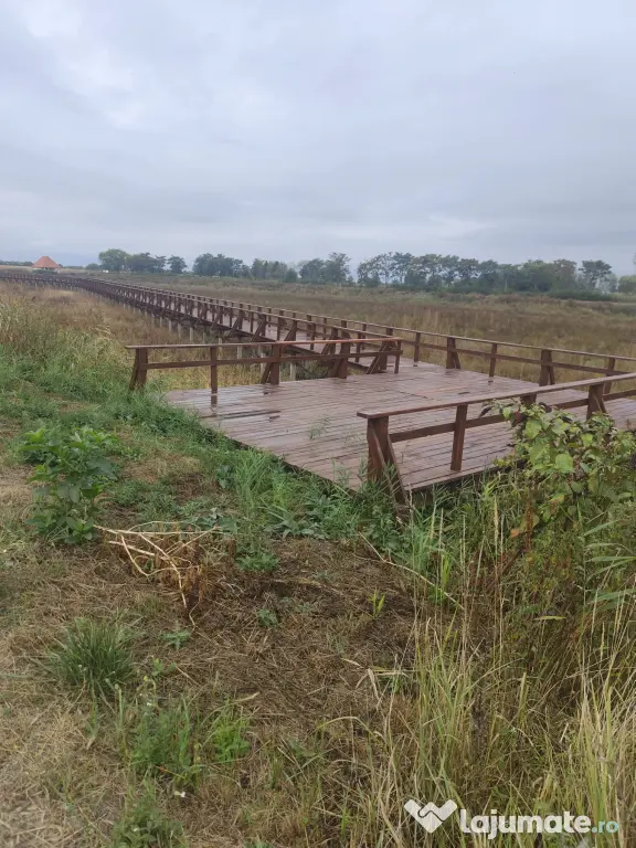 Teren intravilan la balta Odoreu, Satu Mare