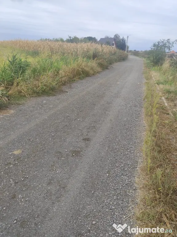 Teren intravilan la balta Odoreu, Satu Mare