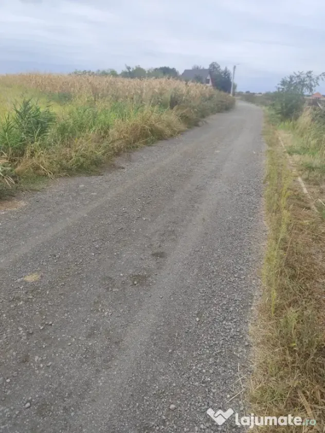 Teren intravilan la balta Odoreu, Satu Mare