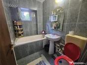 Garsoniera Doamna Ghica (Pet Friendly)