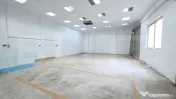 Spatiu industrial - Hala, 110 mp, Titulescu 