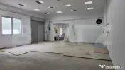 Spatiu industrial - Hala, 110 mp, Titulescu 