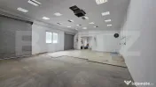 Spatiu industrial - Hala, 110 mp, Titulescu 