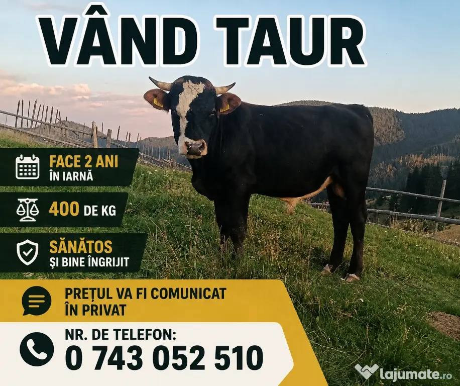 Taur de vânzare