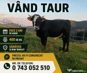 Taur de vânzare