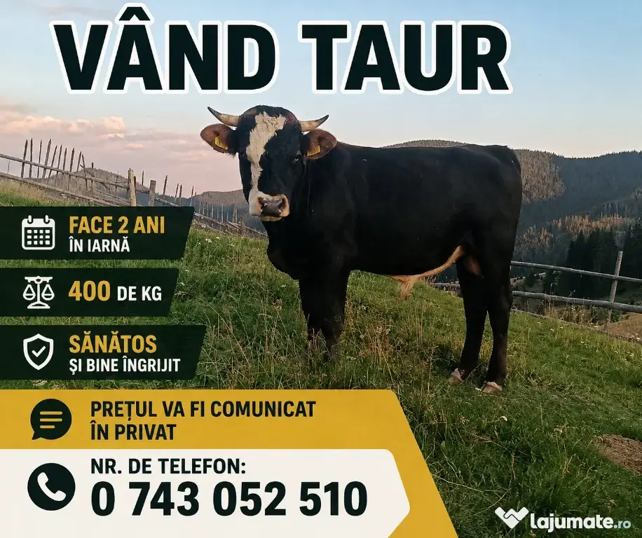 Taur de vânzare
