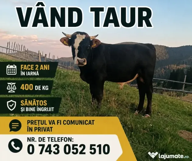 Taur de vânzare